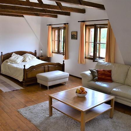 Casa Cojo Lägenhet Sighişoara Exteriör bild