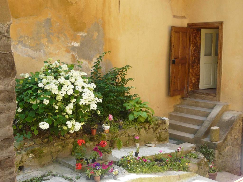 Casa Cojo Lägenhet Sighişoara Rum bild