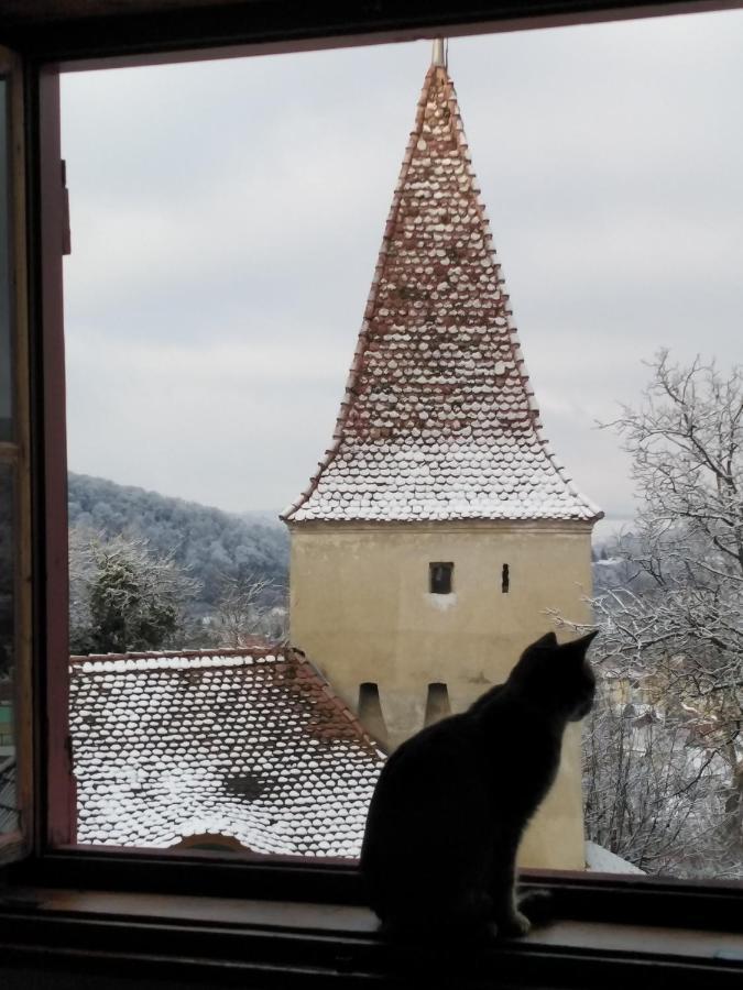 Casa Cojo Lägenhet Sighişoara Exteriör bild