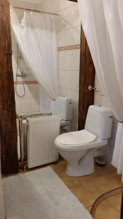Casa Cojo Lägenhet Sighişoara Rum bild