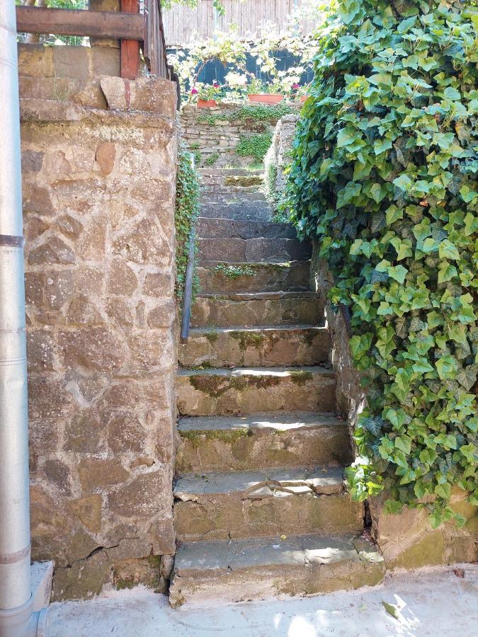 Casa Cojo Lägenhet Sighişoara Exteriör bild