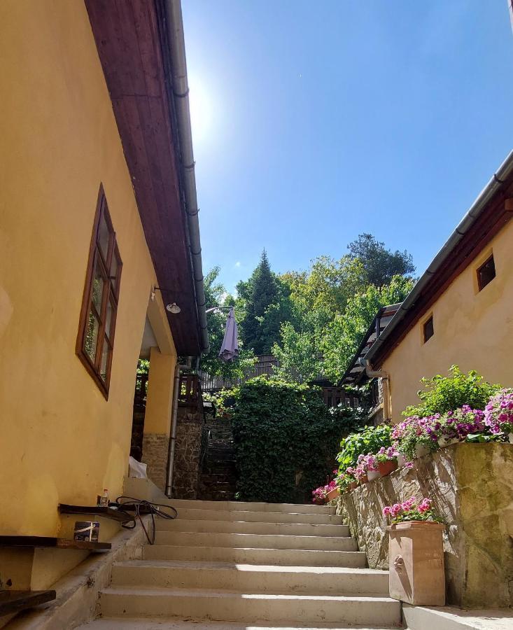 Casa Cojo Lägenhet Sighişoara Exteriör bild